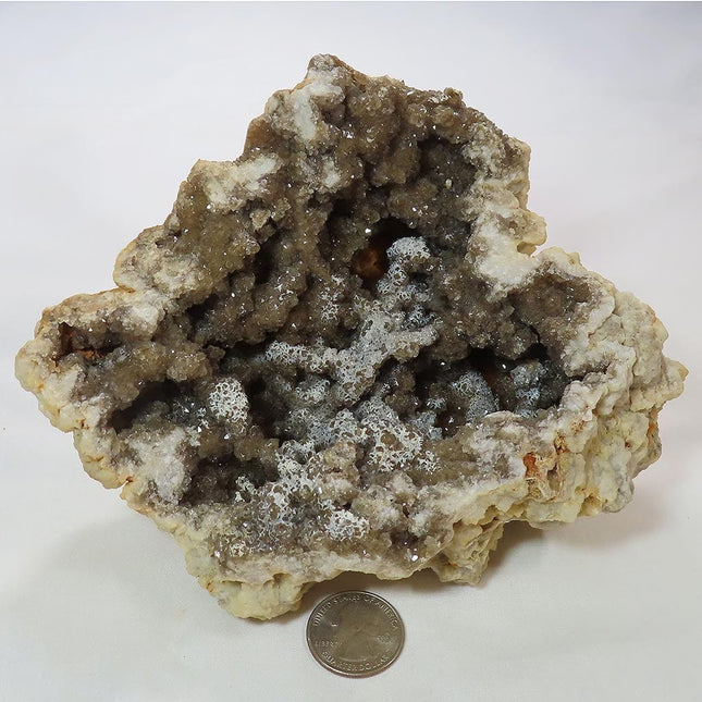 Arkansas Drusy Smoky Quartz Crystal Geode with White Opal Coating
