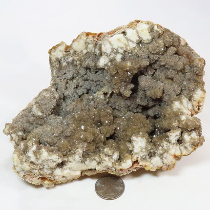 Arkansas Drusy Smoky Quartz Crystal Geode with White Opal Coating