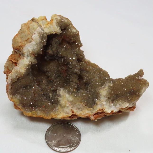 Arkansas Drusy Smoky Quartz Crystal Geode