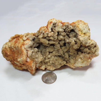 Arkansas Drusy Smoky Quartz Crystal Geode