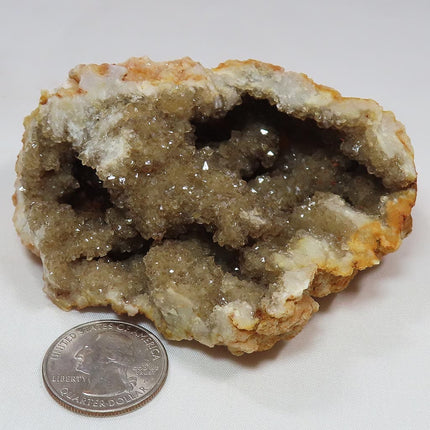 Arkansas Drusy Smoky Quartz Crystal Geode