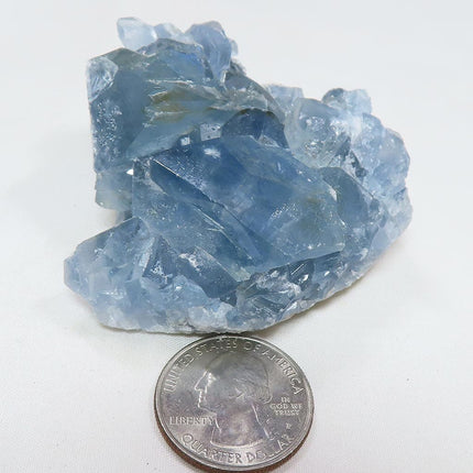 Celestite Geode from Madagascar