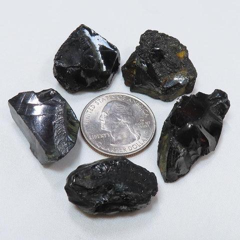 5 Pieces of Elite Silver or Noble Shungite from Russia Shipped from US