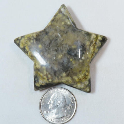 Polished Ocean Jasper Star from Madagascar