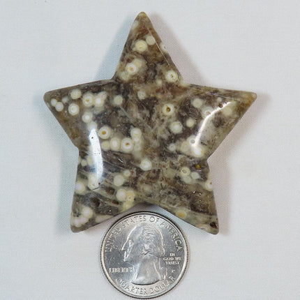 Polished Ocean Jasper Star from Madagascar