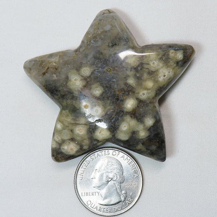 Polished Ocean Jasper Star from Madagascar