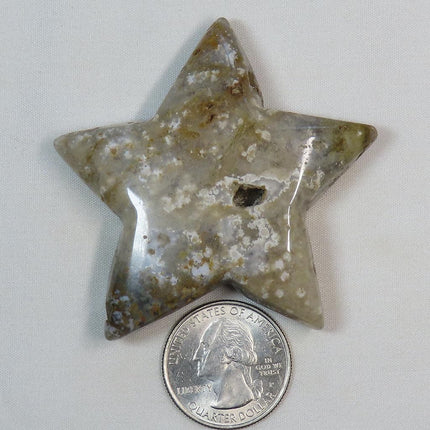 Polished Ocean Jasper Star from Madagascar