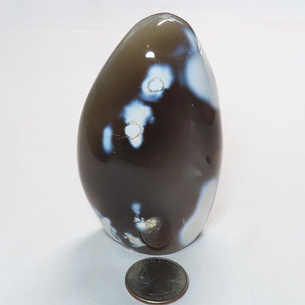 Polished Snow Blue Agate Free Form from Madagascar