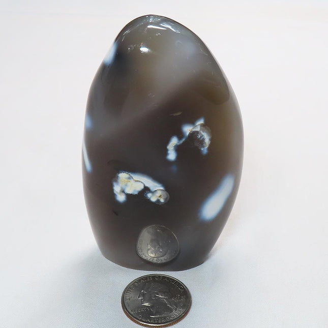 Polished Snow Blue Agate Free Form from Madagascar