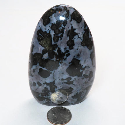 Polished Indigo Gabbro Free Form from Madagascar