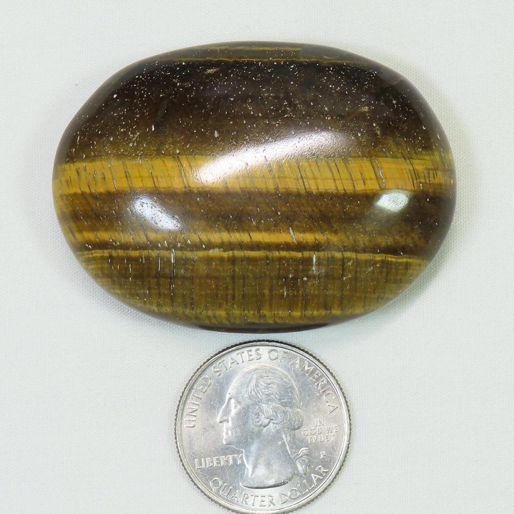 Polished Tiger Eye Palm Stone from Central Africa
