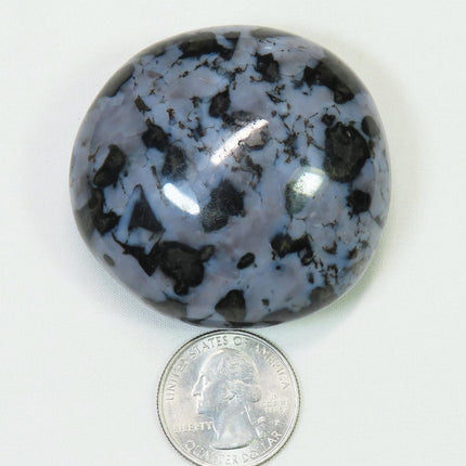 Polished Indigo Gabbro Palm Stone from Madagascar