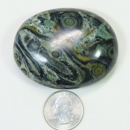Polished Kambaba Jasper Palm Stone from Madagascar