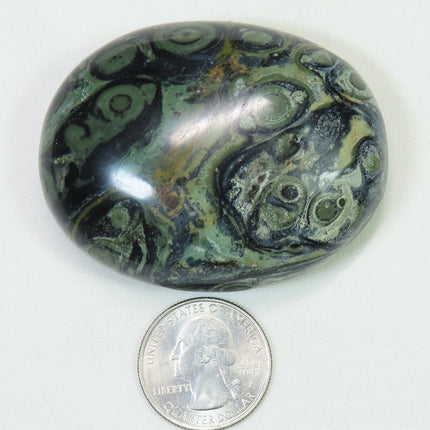 Polished Kambaba Jasper Palm Stone from Madagascar
