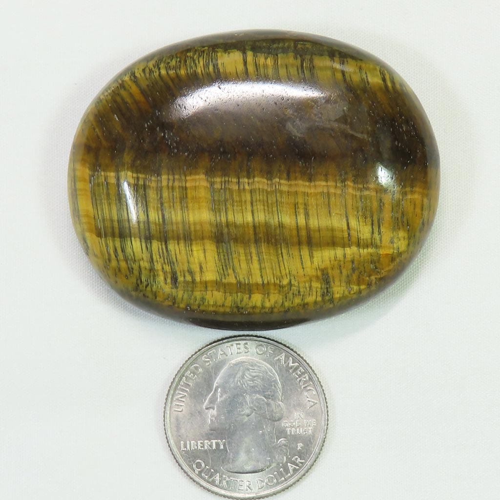 Polished Tiger Eye Palm Stone from Central Africa