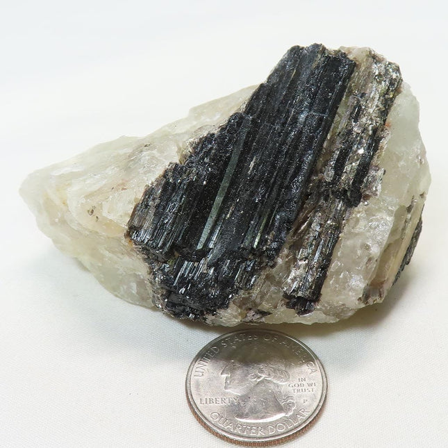 Black Tourmaline in Quartz from Brazil