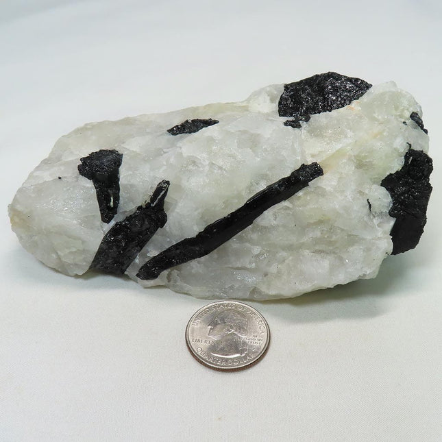 Black Tourmaline in Quartz from Brazil