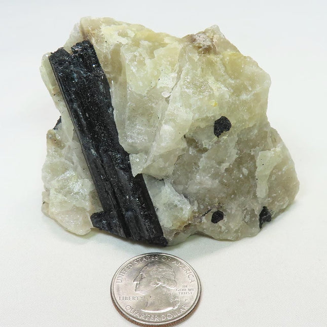 Black Tourmaline in Quartz from Brazil