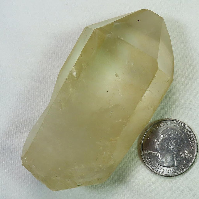 Golden Lemurian Seed Quartz Crystal Point from Brazil