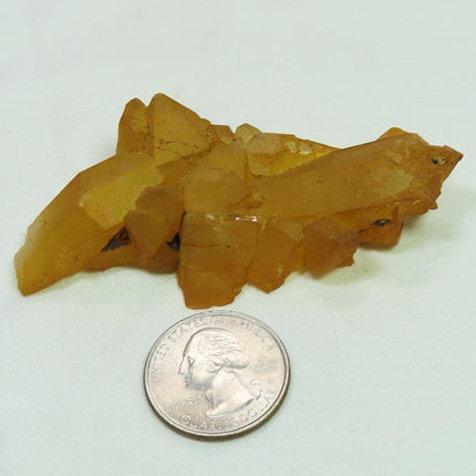 Arkansas Uncleaned Quartz Crystal Cluster