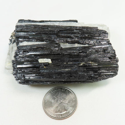 Black Tourmaline in Quartz from Brazil