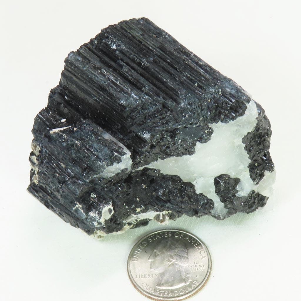 Black Tourmaline in Quartz from Brazil