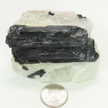 Black Tourmaline in Quartz from Brazil