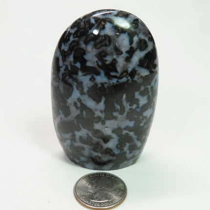 Polished Indigo Gabbro Free Form from Madagascar