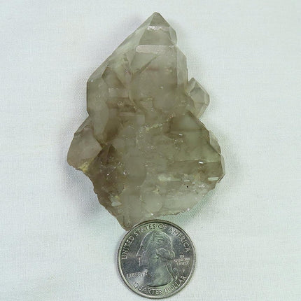 Smoky Quartz Crystal Elestial from Brazil