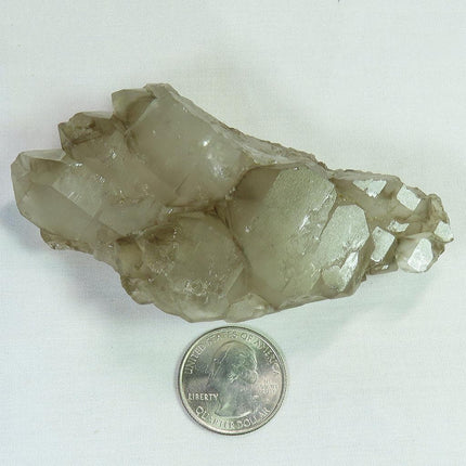 Smoky Quartz Crystal Elestial from Brazil