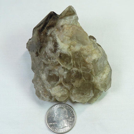 Smoky Quartz Crystal Elestial from Brazil