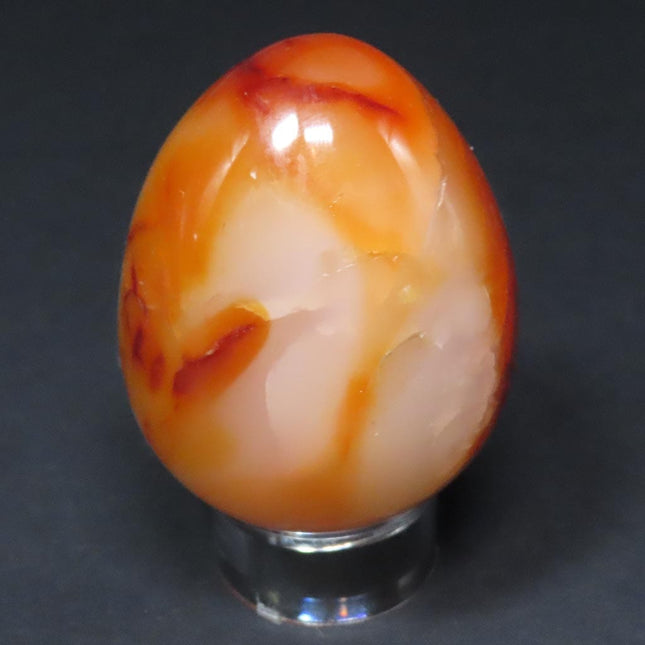 Polished Carnelian Agate Egg from Madagascar on a stand with a US quarter for scale on a gray background