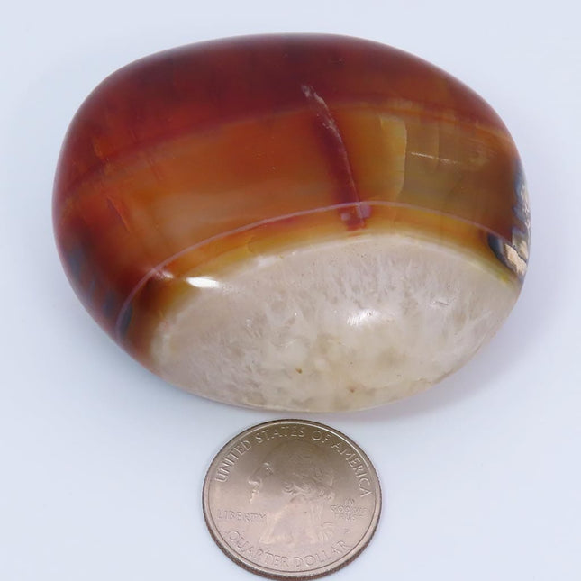 Polished Carnelian Agate Palm Stone from Madagascar