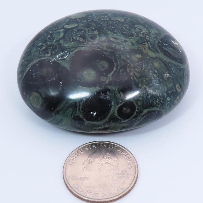 Polished Kambaba Jasper Palm Stone from Madagascar