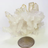 Arkansas Square Back Lemon Healer Quartz Crystal Cluster