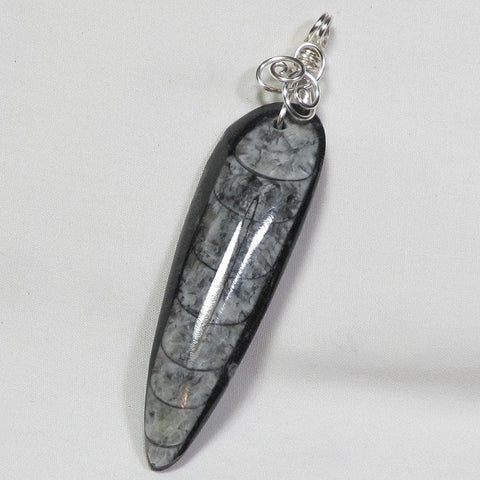 Orthoceras Fossil Wire Wrapped Pendant Jewelry