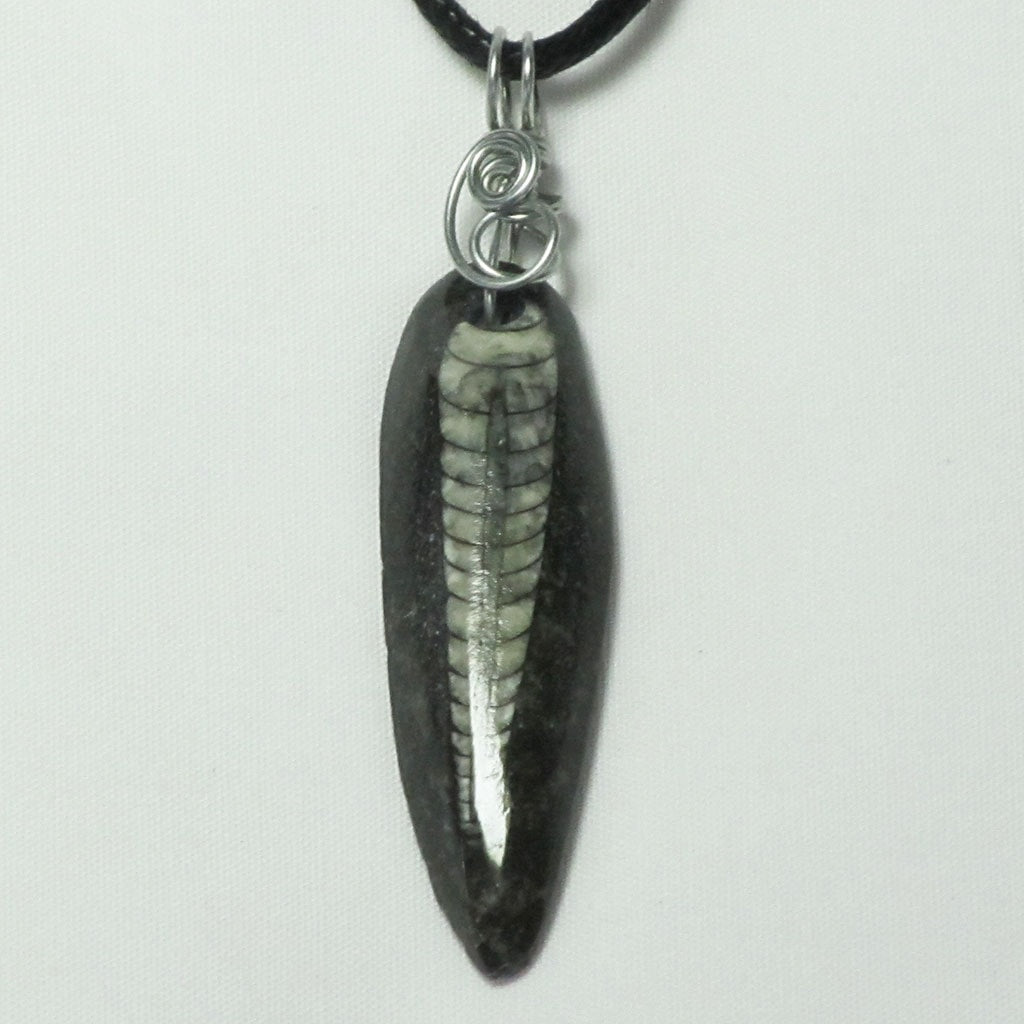 Orthoceras Fossil Wire Wrapped Pendant