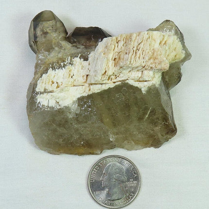 Smoky Quartz Crystal Elestial with Dolomite Attached from Brazil