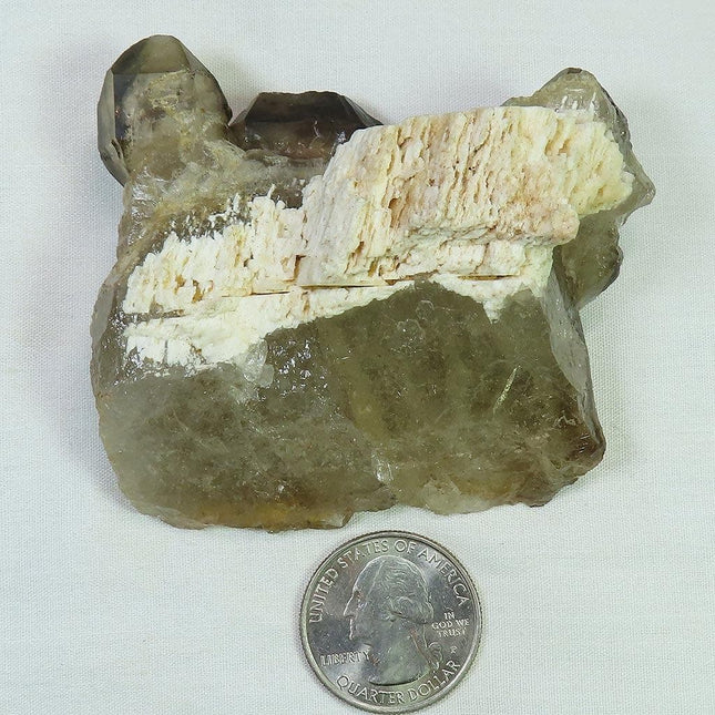 Smoky Quartz Crystal Elestial with Dolomite Attached from Brazil