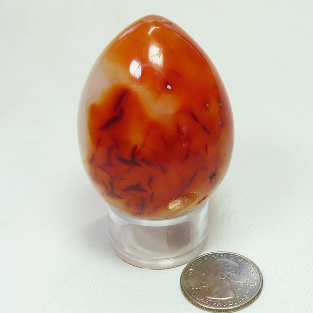 Polished Carnelian Agate Egg from Madagascar