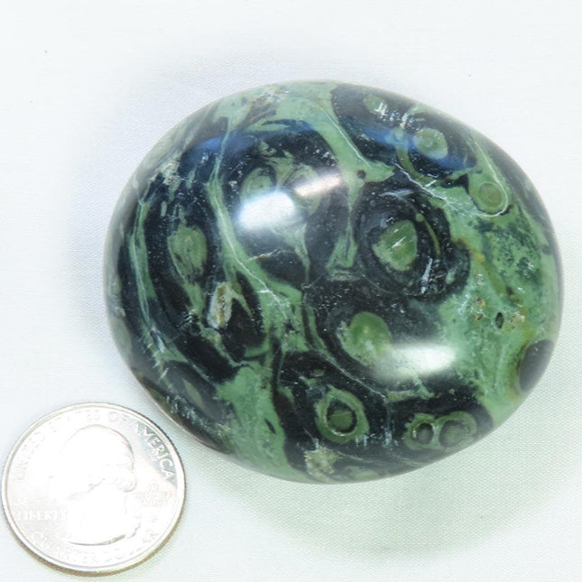 Polished Kambaba Jasper Palm Stone from Madagascar