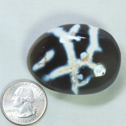 Polished Snow Blue Agate Palm Stone from Madagascar