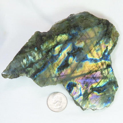 One Side Polished Labradorite Slab from Madagascar