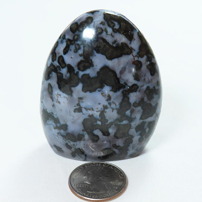 Polished Indigo Gabbro Free Form from Madagascar