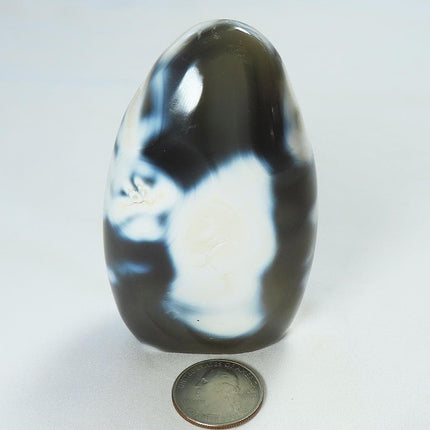 Polished Snow Blue Agate Free Form from Madagascar