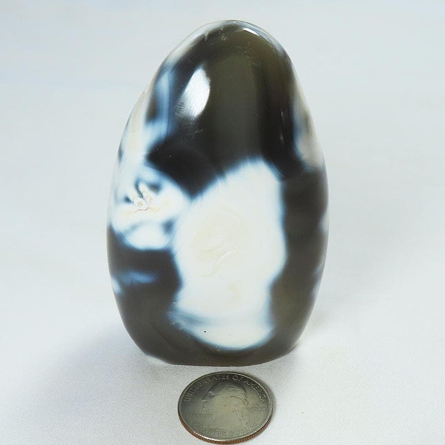 Polished Snow Blue Agate Free Form from Madagascar