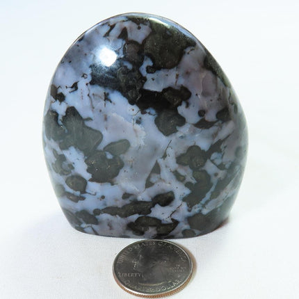 Polished Indigo Gabbro Free Form from Madagascar