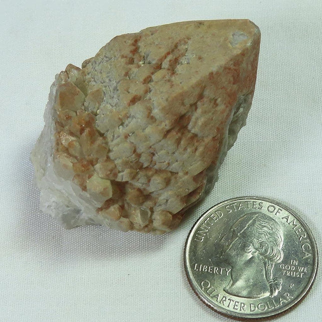 Sceptre Quartz Crystal Head from Brazil