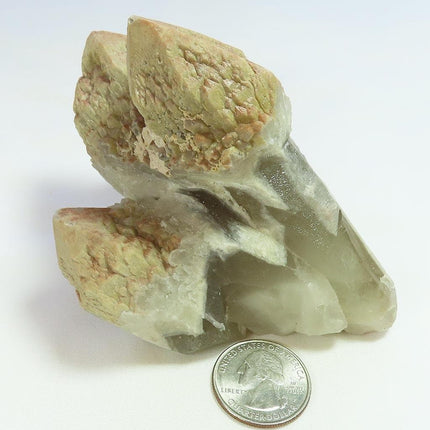 Sceptre Quartz Crystal Cluster from Brazil