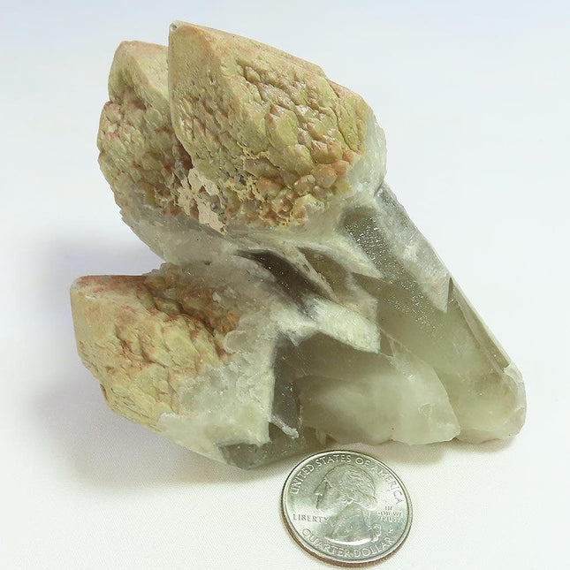 Sceptre Quartz Crystal Cluster from Brazil